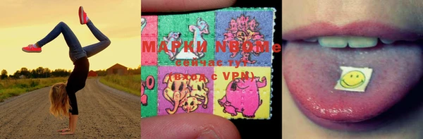 гашик Алзамай