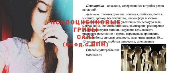 гашик Алзамай