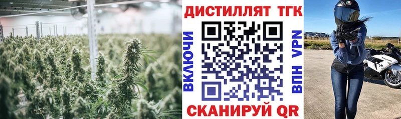 Дистиллят ТГК вейп с тгк  Бакал 