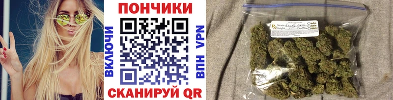 где можно купить   Бакал  shop клад  Бошки марихуана SATIVA & INDICA 